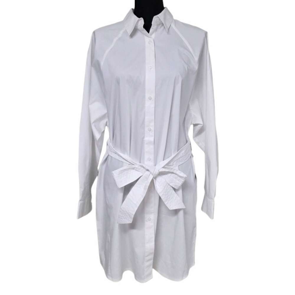 EXPRESS Boyfriend Poplin Mini Portofino Shirt Dress - Picture 5 of 16